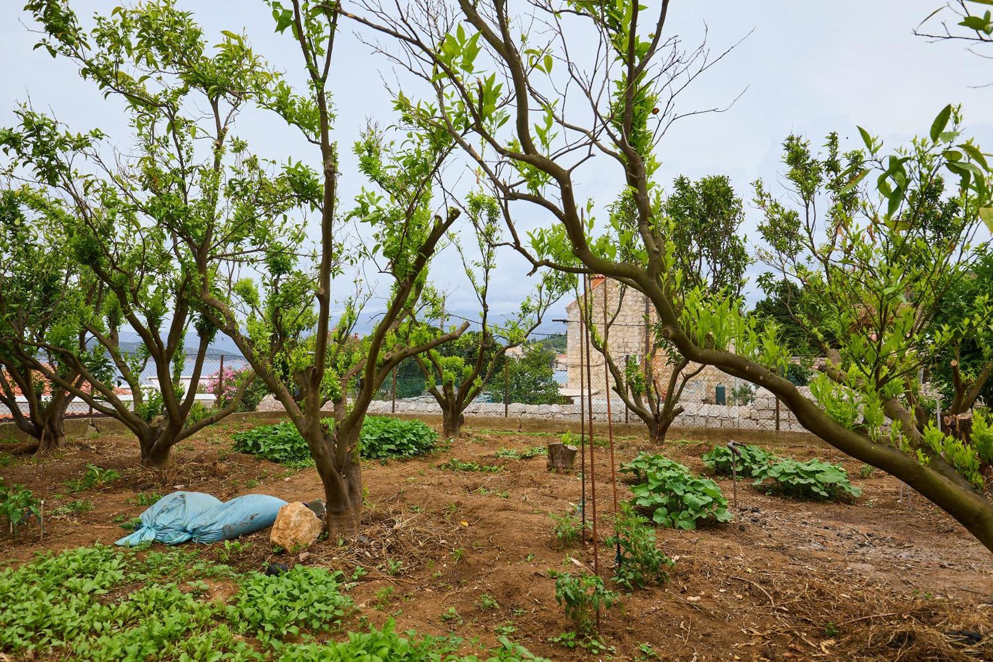 Apartamento Beloc House Lopud Island Exterior foto
